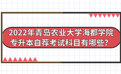 2022年青岛农业大学海都学院专升本自荐考试科目有哪些？.png