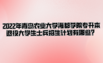 2022年青岛农业大学海都学院专升本退役大学生士兵招生计划有哪些？.png