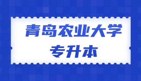 青岛农业大学专升本